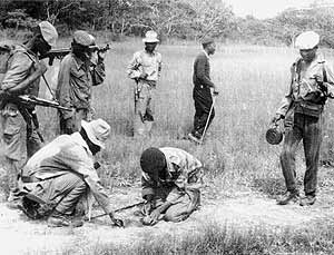 Guerrilheiros da Frelimo